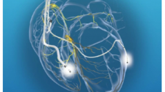 Advance Technology in Cardiac Resynchronization Therapy (CRT)